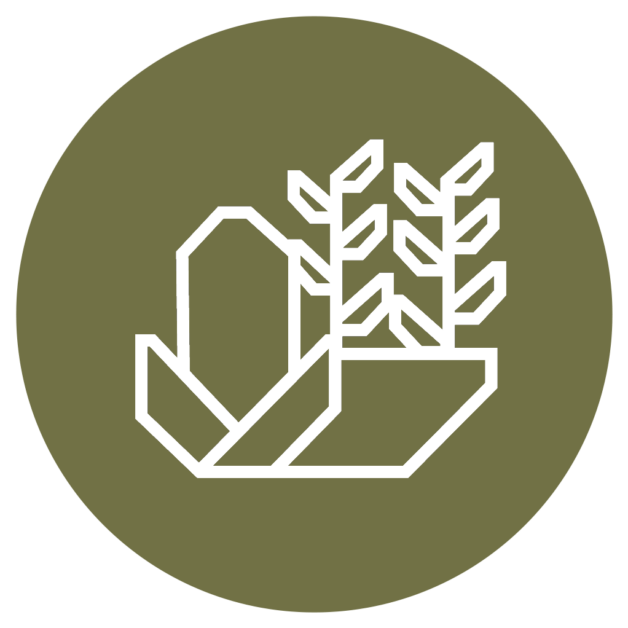 4. การเกษตรและเทคโนโลยีชีวภาพ (Agriculture and Biotechnology)