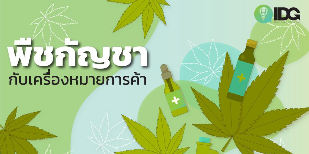 banner web cannabis 01 scaled 1